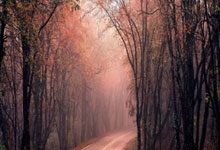 九游体育：12记三分爆砍52分！比肩乔丹超越詹姆斯，库里一战狂刷8大纪录.