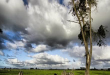 九游体育：14次，莫德里奇是本赛季西甲创造绝佳机会次数最多的皇马球员.