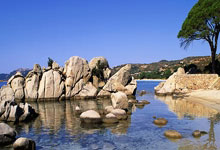 2017年11月9日以来，荷兰首发阵容首次无荷甲球员.